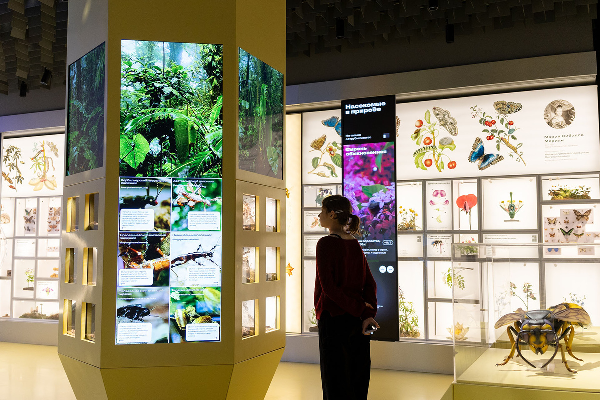    Павильон №28 «Пчеловодство»