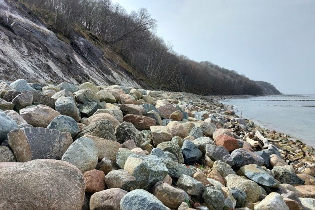   Фото из архива Калининград.Ru