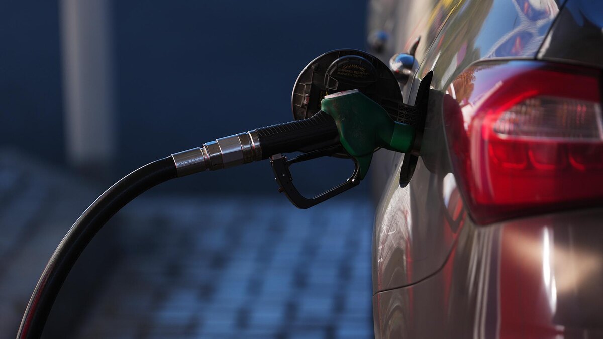    Фото: ИЗВЕСТИЯ/Эдуард Корниенко