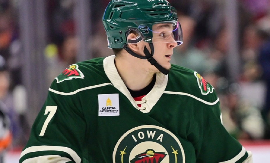    Хоккеист Фирстов: В России люди опрятнее, чем в США. Фото: НХЛ