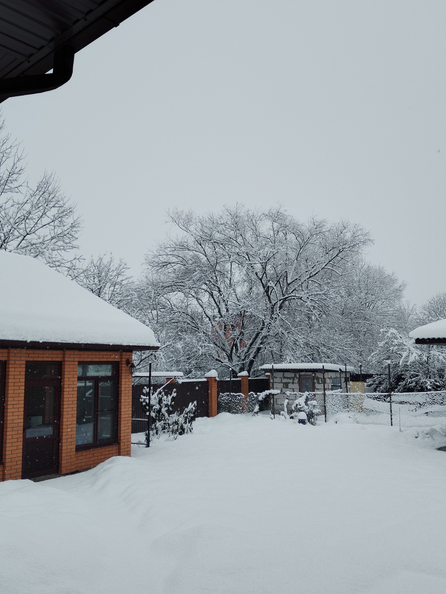 Зима пришла на юг! 