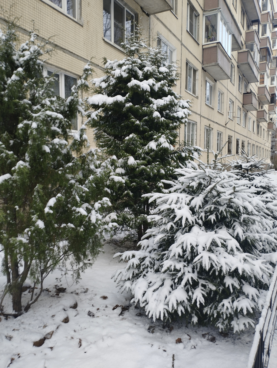 Волшебный мир зимы и снега