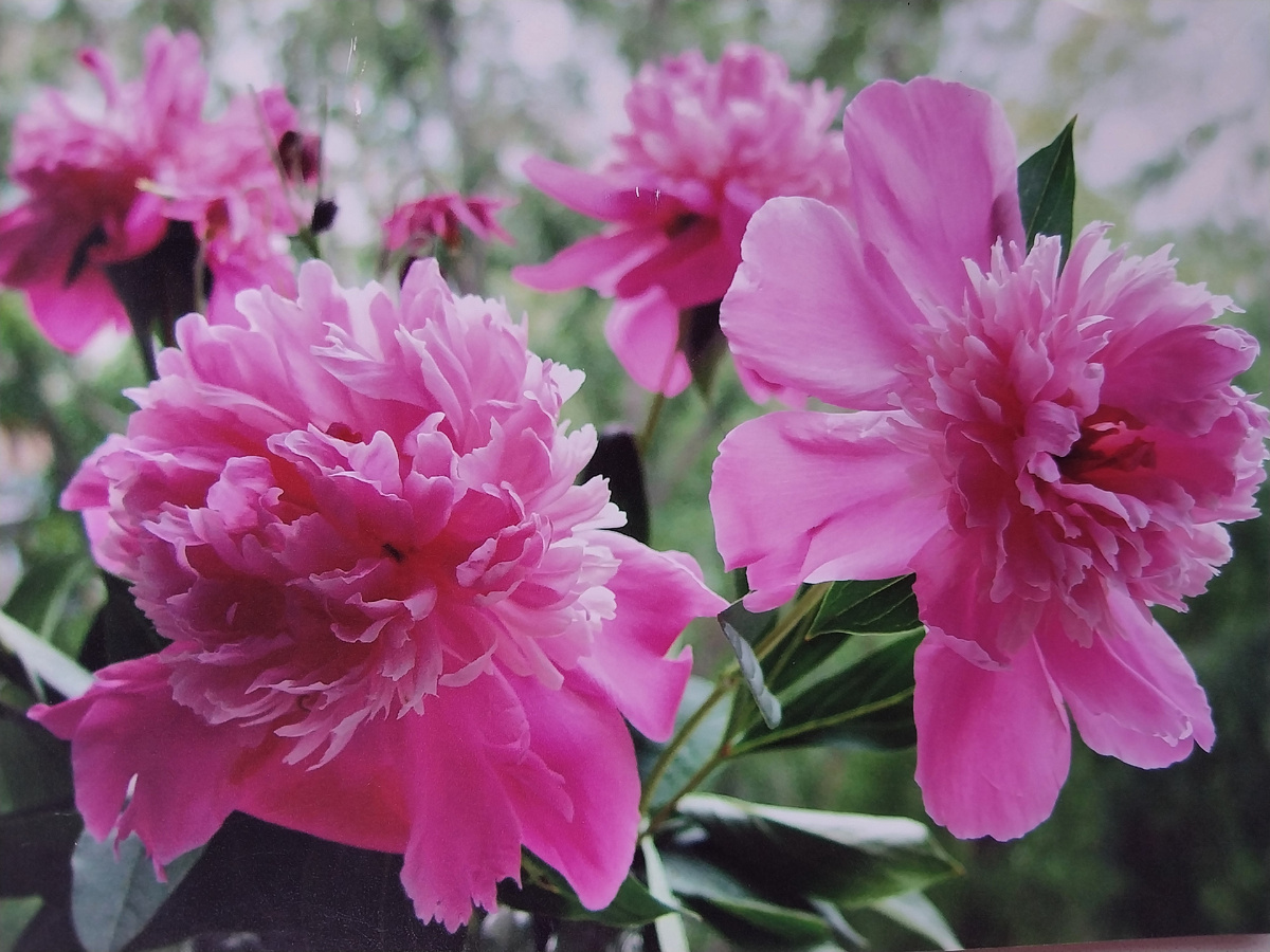 Фото Дмитрия Володикова