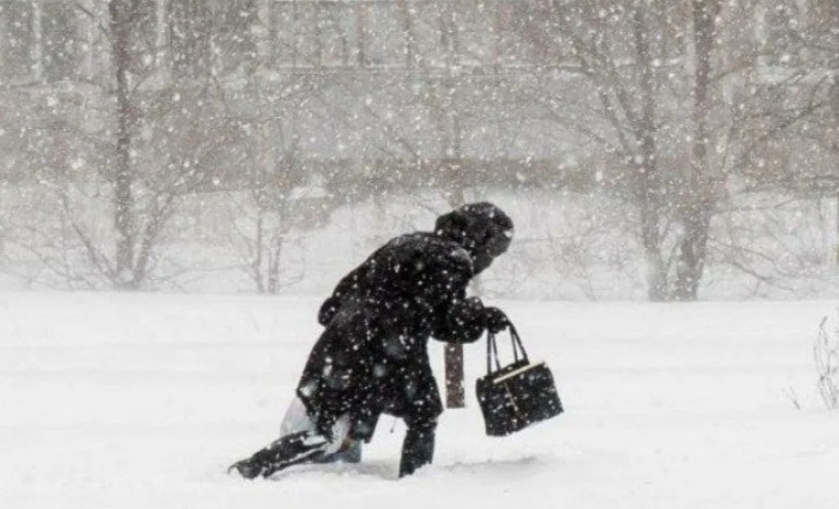 Яндекс-картинки. Наплевать на ураган 