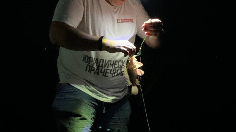 🚀 Гений не технологий, а «поездов удачи