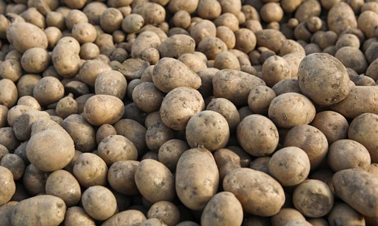    Фото: Иван Дякин/Правительство Приморского края