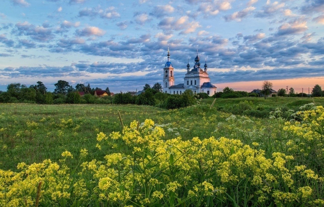 Картинка найдена на просторах интернета, ссылка https://yandex.ru/images/search?from=tabbar&img_url=https%3A%2Fi%2F.pinimg.com%2Foriginals%2Fa8%2F34%2Fа3f%2Fa83р43f851с216879b5e7bd53274cf0591a19.jpg&lr=47&pos=15&rpt=simage&text=%D1%86%D0%B2%D0%B5%D1%82%D1%8B%20%D0%BA%D1%80%D1%83%D0%BF%D0%BD%D0%BE%20%D1%84%D0%BE%D1%82%D0%BE 
