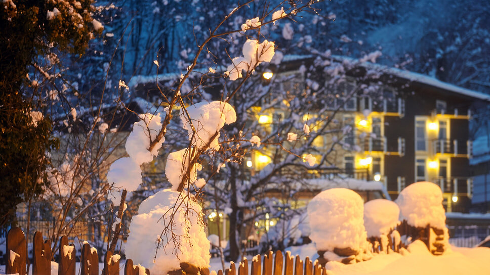 Фото: Дмитрий Норов / Коммерсантъ