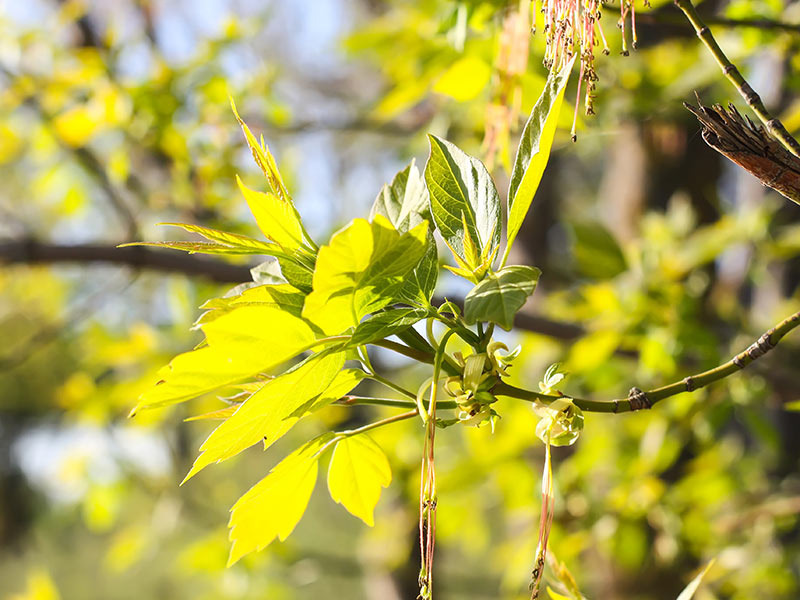 Фото: ru.freepik.com