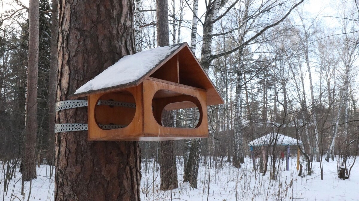    Снегопады должны ослабнуть   Артем Шершнев / atas.info