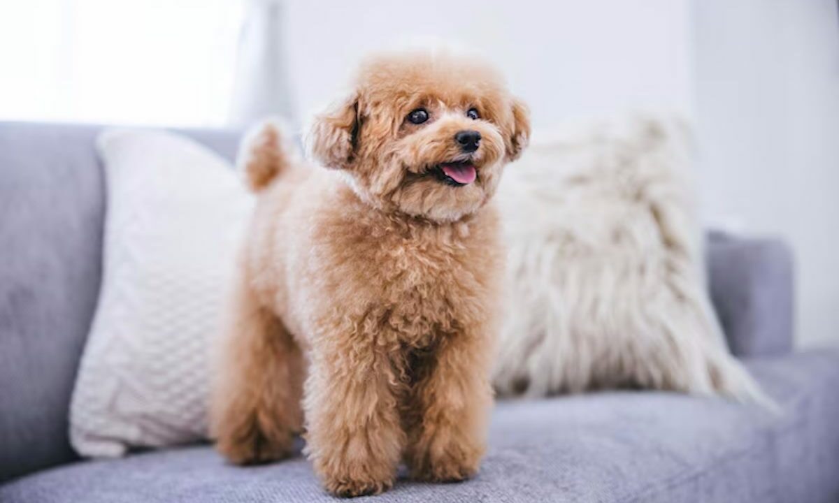    Фото freepik.com