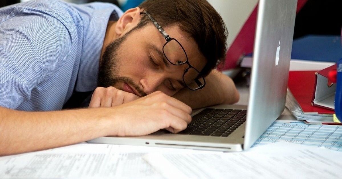 Фото Яндекс Картинки