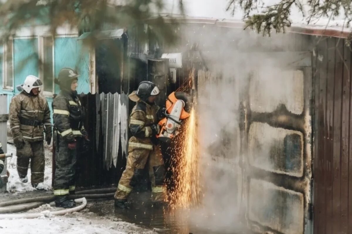    Пожар на Гаражной стоил жизни домашнему питомцу в Комсомольске‑на‑Амуре
