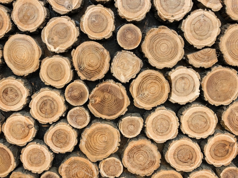 Фото: ru.freepik.com