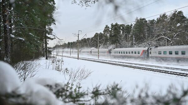    © Пресс-служба компании-перевозчика "Гранд Сервис Экспресс"