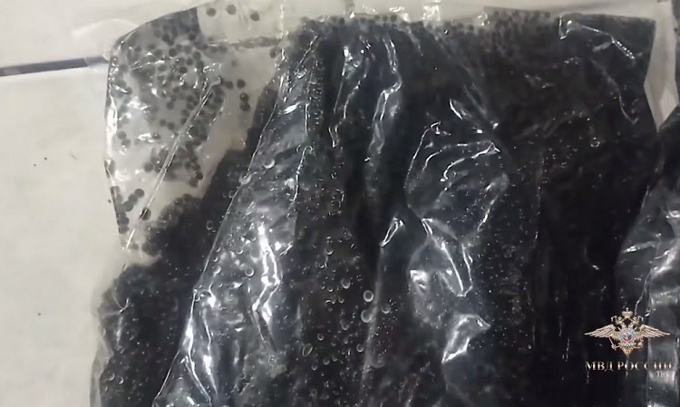    На фото стоп-кадр видеоматериала МВД России Редактор