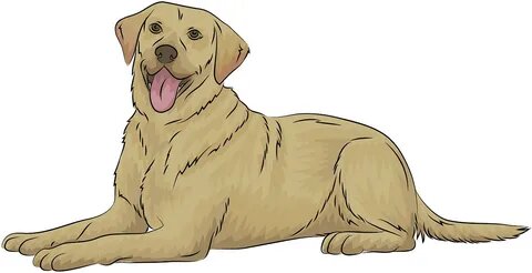 рисунок из интернета.