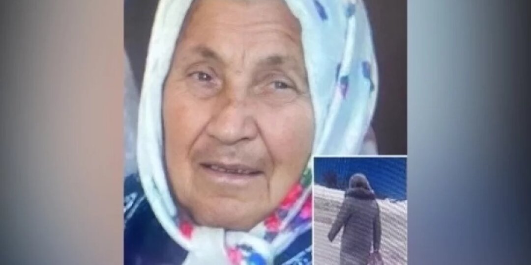 Пенсионерка пропала без вести по пути домой в Воронежской области