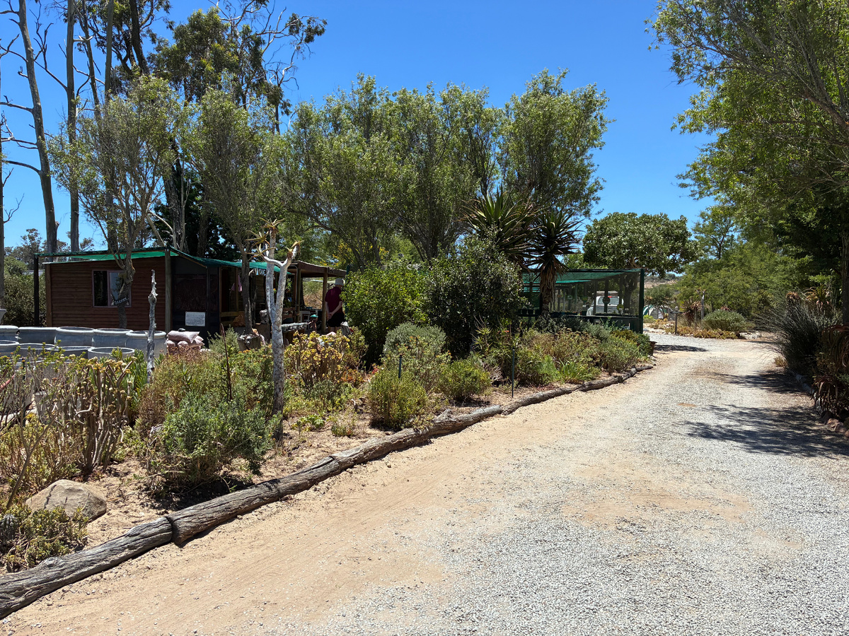 Въезд в питомник с растениями для сада. Слева - магазинчик и открытое кафе. Далее - тенты и палатки с растениями. Фото из личного архива