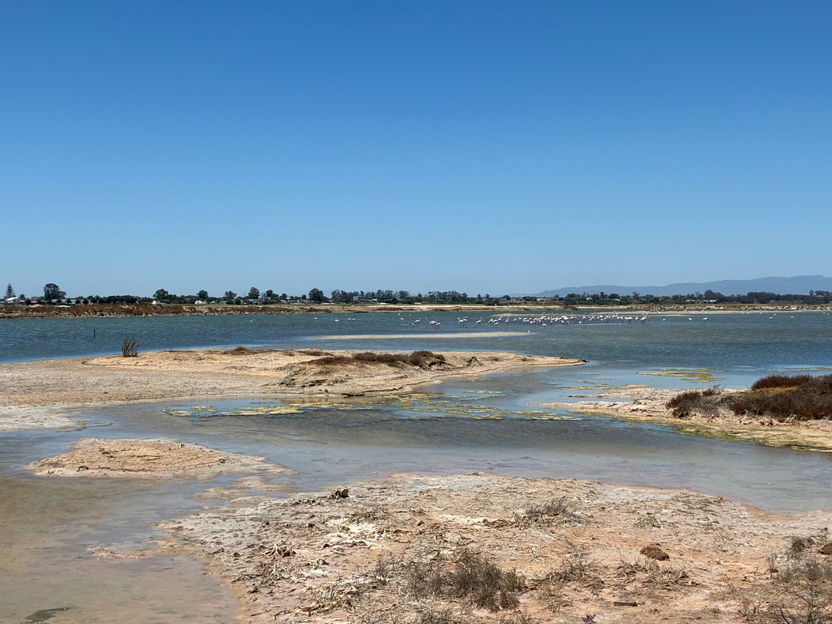 Соляные копи Велддрифа с обитающими на них фламинго. Фото из личного архива