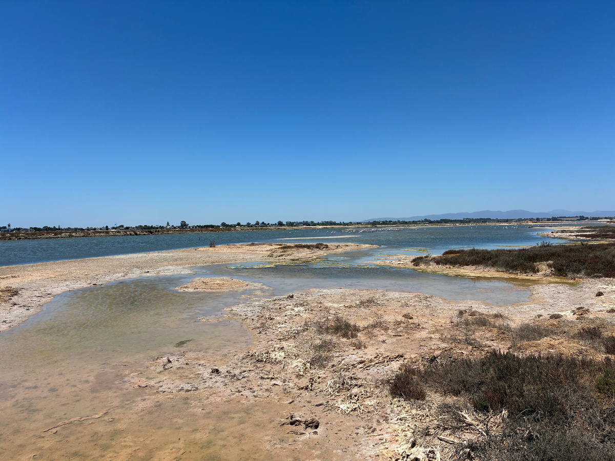 Соляные копи Велддрифа с обитающими на них фламинго. Фото из личного архива