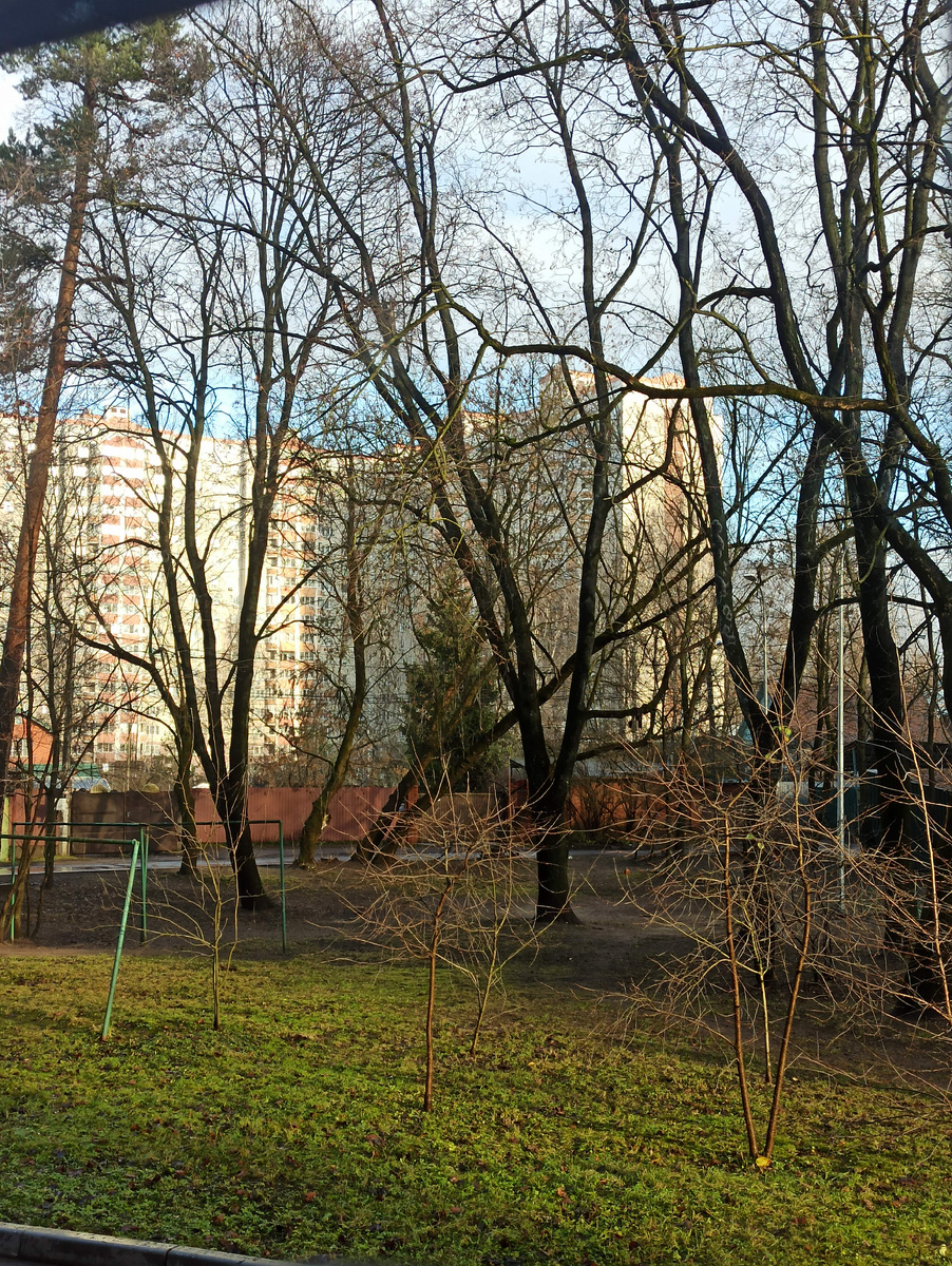 И это не весна) Это 28 ноября 2025 г. Подмосковье