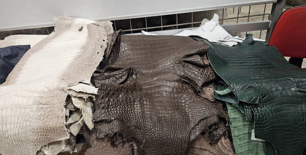 Турист пытался привезти в Россию 55 шкур крокодилов