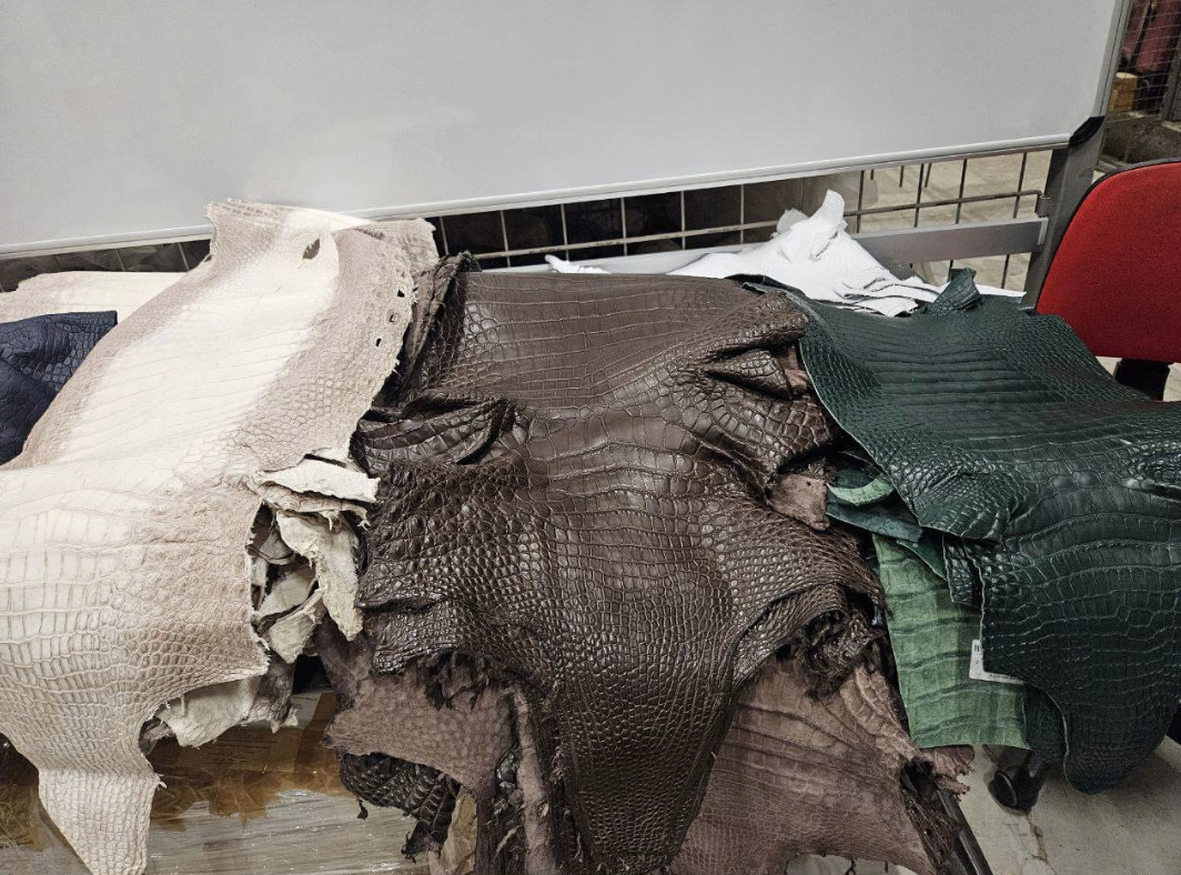 Фото: ФТС России