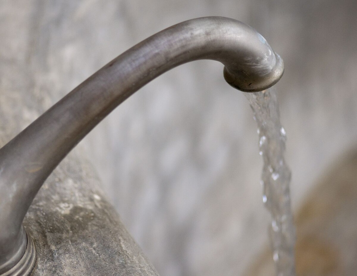     / Источник: © Global Look Press