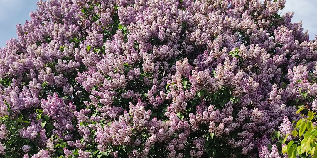 Вернулись из Латинской Америки. Как прошел 2025 год?