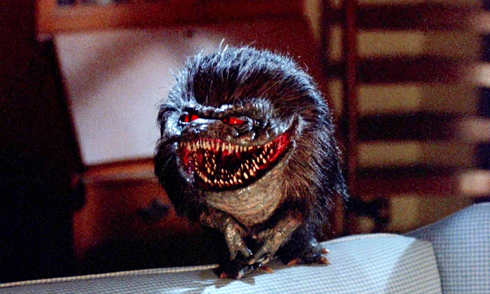 "Зубастики" заваоевали культовый статус в стане любителей ужастиков, только после выхода на носителях. В кинотеатрах оригинальный фильм выступил вполне достойно, позволив запустить в разработку вторую часть с более внушительным бюджетом, которая уже провалилась.