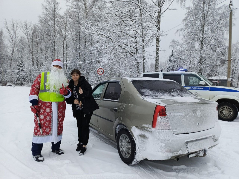    Автоинспекторы в костюмах Дедов Морозов с апельсинами вышли на трассы КарелииГосавтоинспекция Карелии