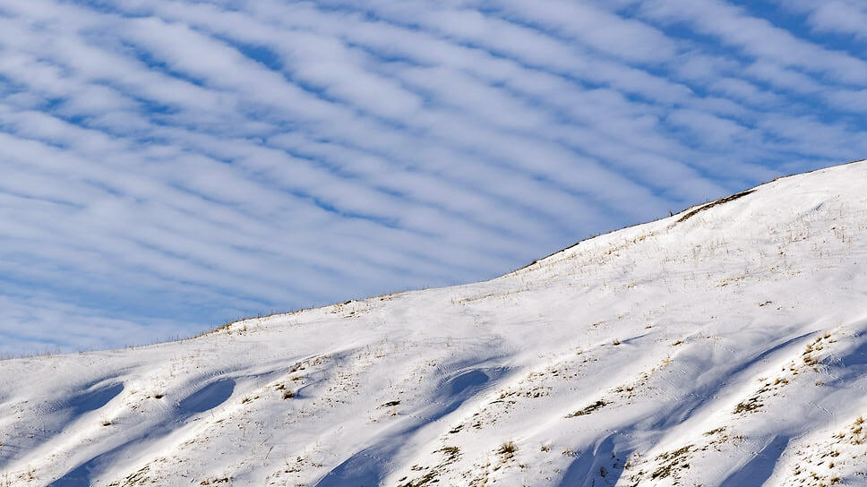 Фото: Алексей Смышляев / Коммерсантъ
