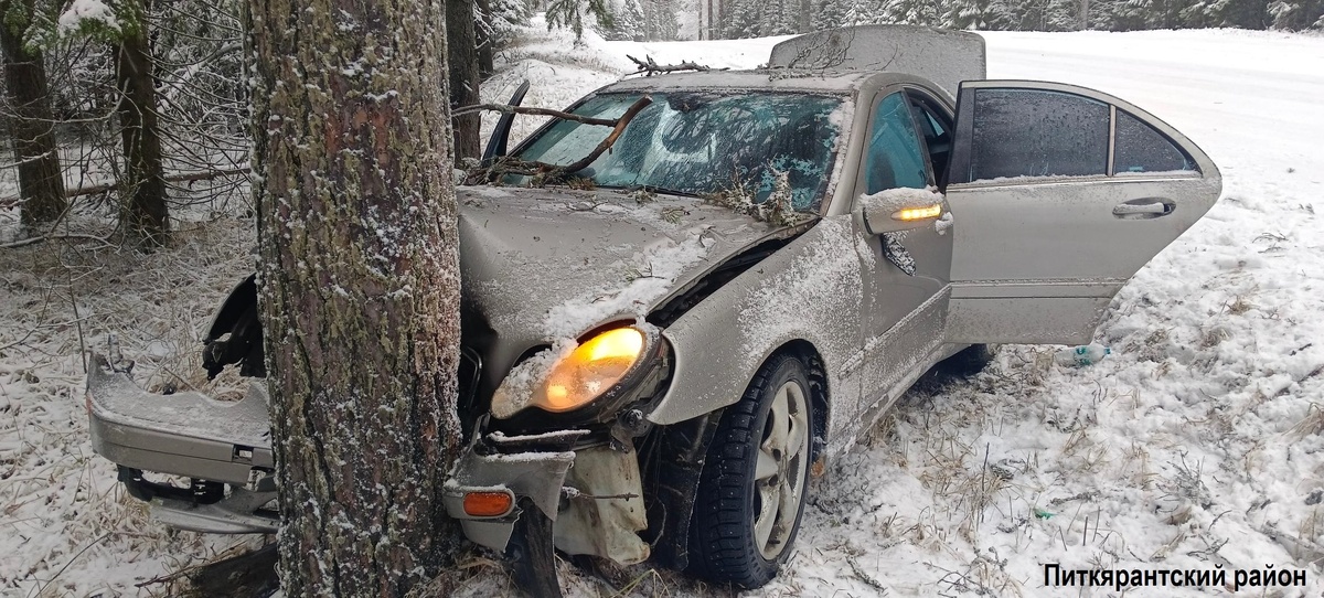    Фото: Госавтоинспекция Карелии