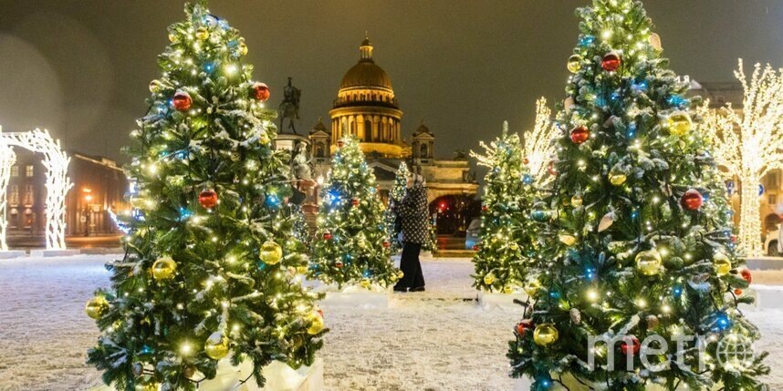    Алена Бобрович