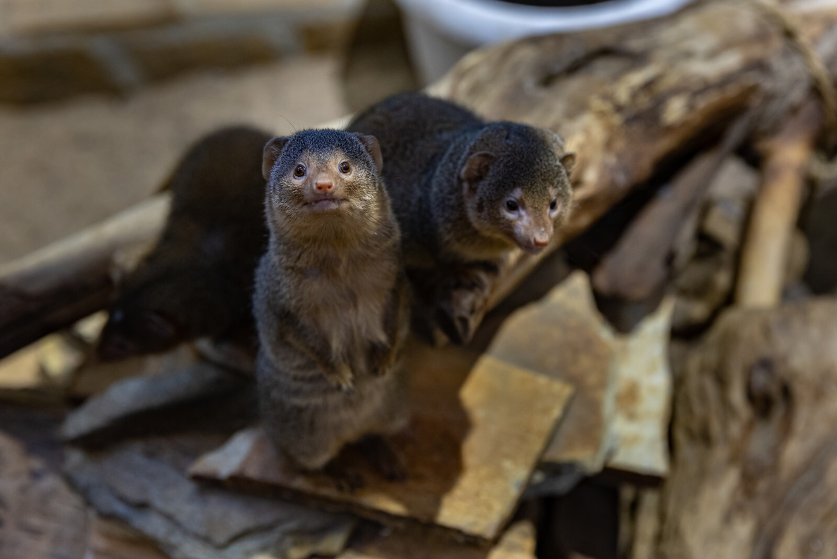 Фото: Дмитрий Фуфаев