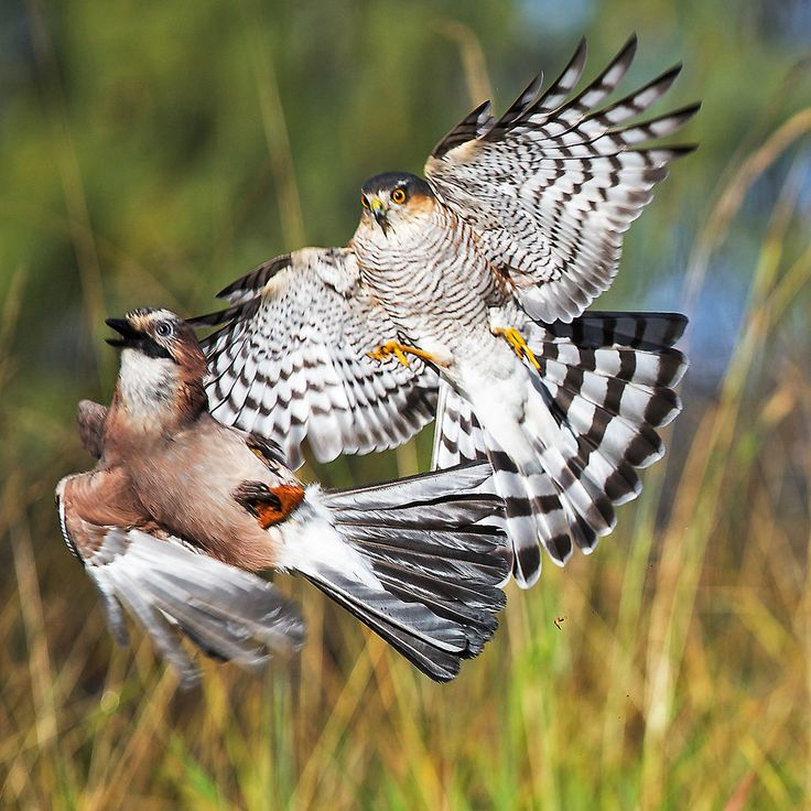 2026 год неизбежно догоняет уставшего работягу...