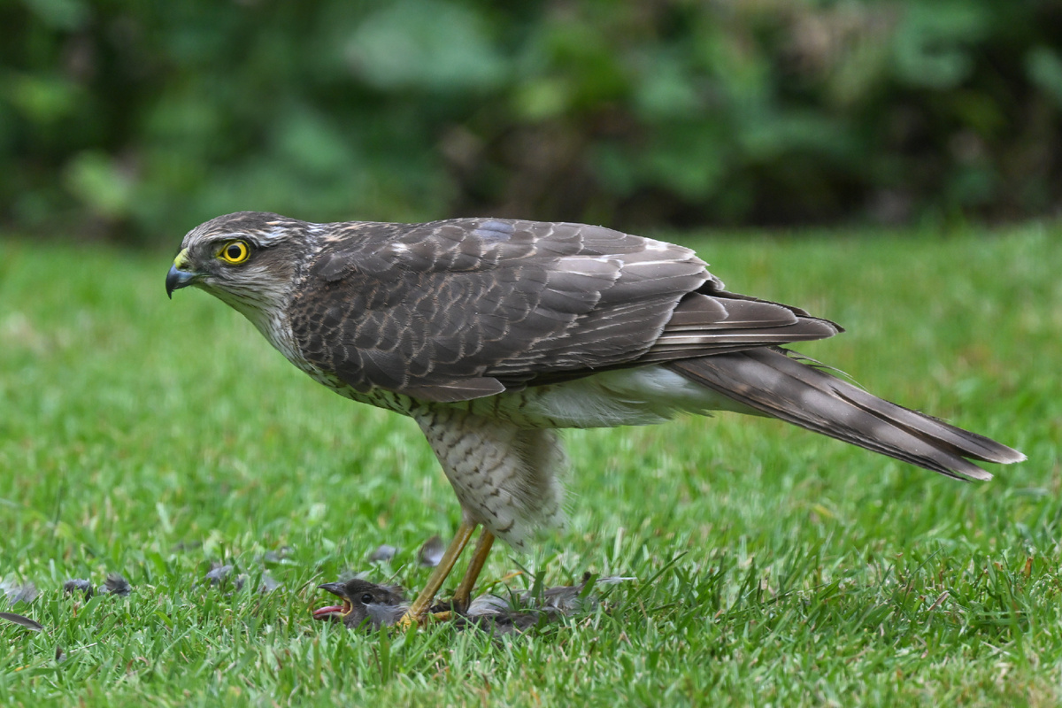 Отпусти, я всё понял!!!