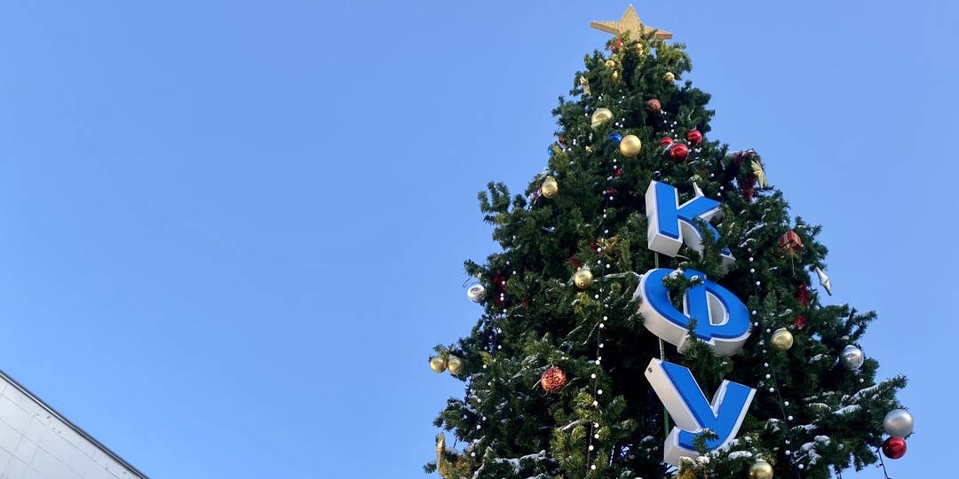 Как россияне встречают Новый год?