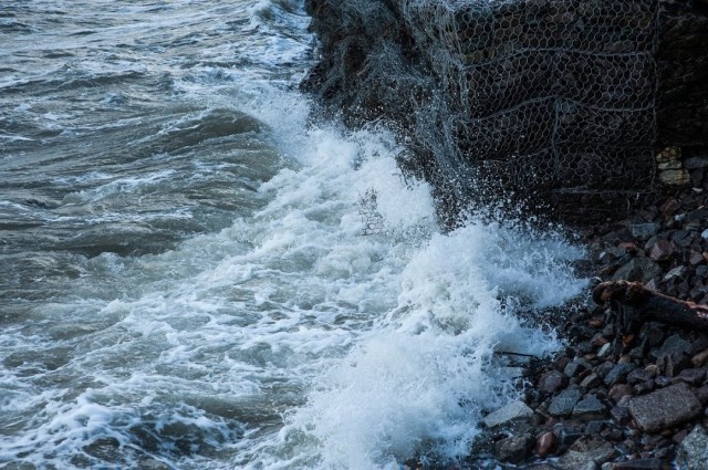   Фото из архива Калининград.Ru