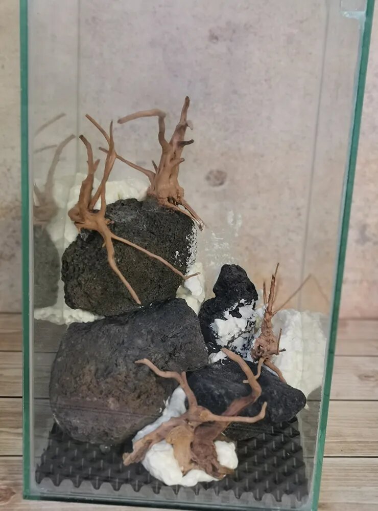 Заполнила пустоты монтажной пеной