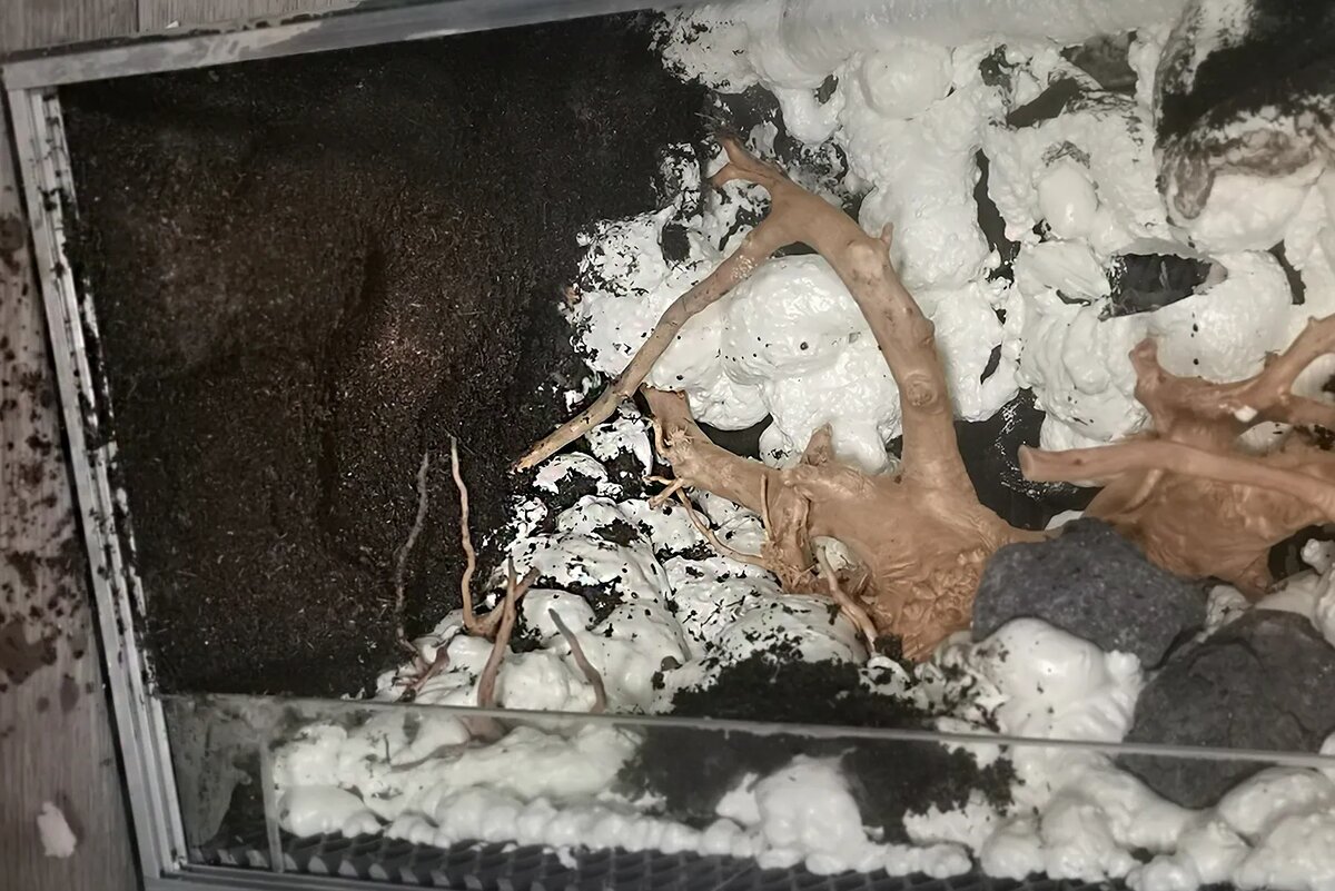 Обмазала пену глиной. И пока глина не затвердела, быстро приклеила на нее торф