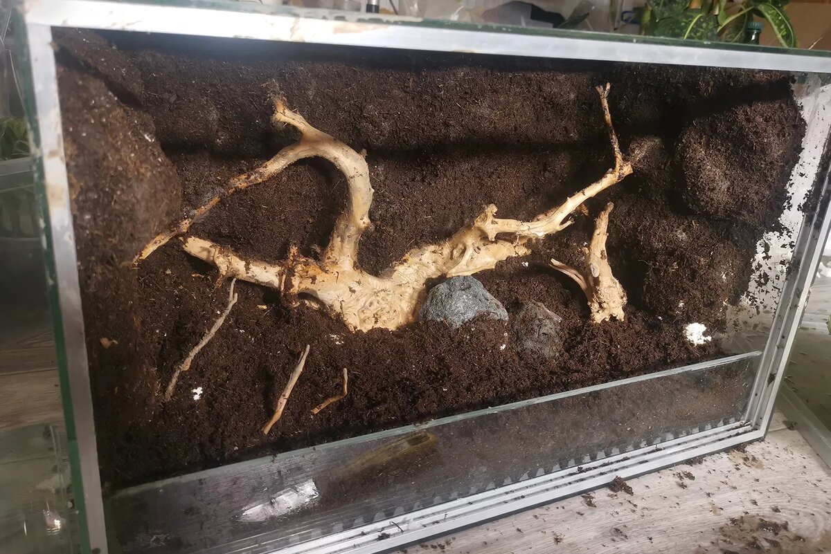 Постепенно довела фон до результата, который меня устроил