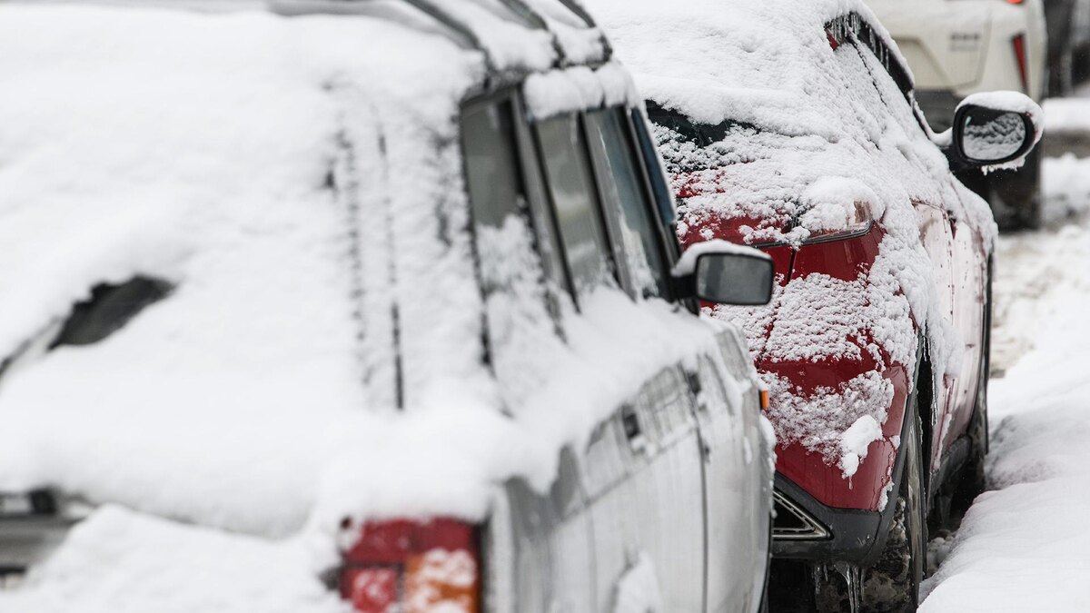    Фото: Ilya Moskovets/globallookpress.com