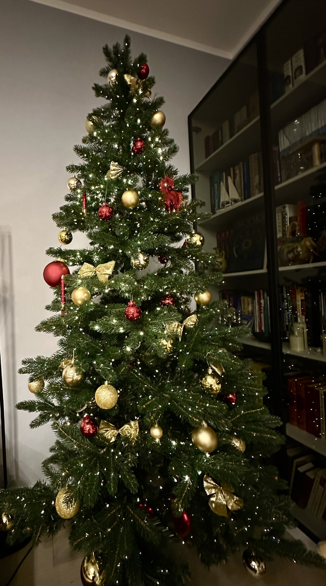 Наша елка 2026