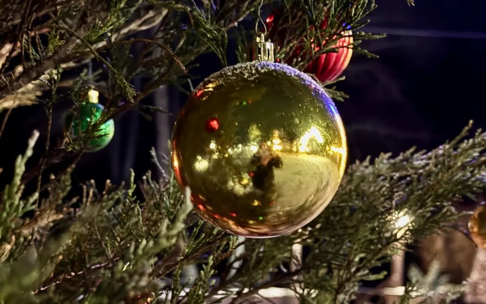    Фото: "Брянские новости"