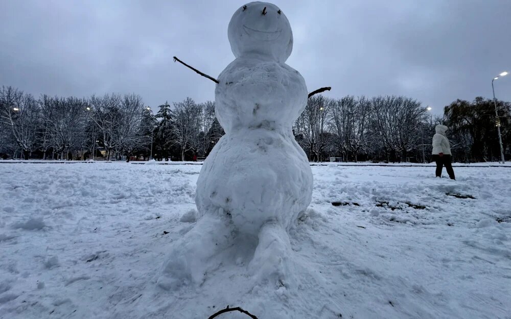    Фото: "Брянские новости"