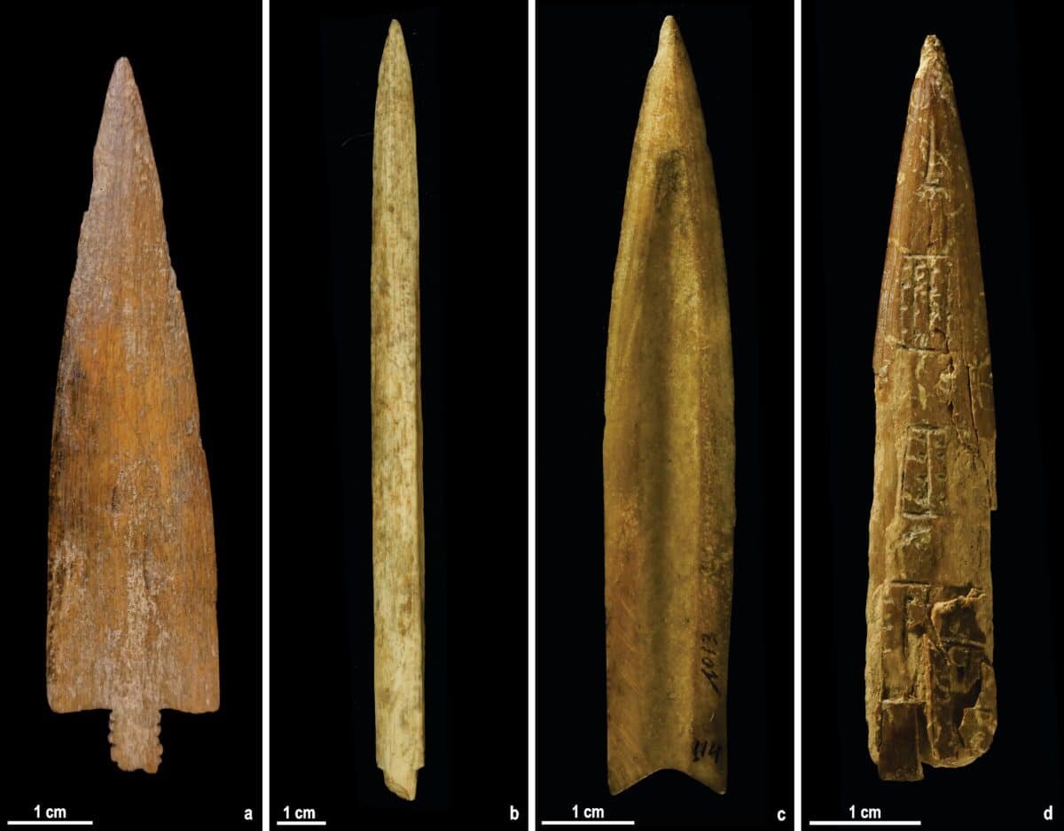    Примеры наконечников стрел, найденных в центральной Аргентине / © The International Journal of Osteoarchaeology