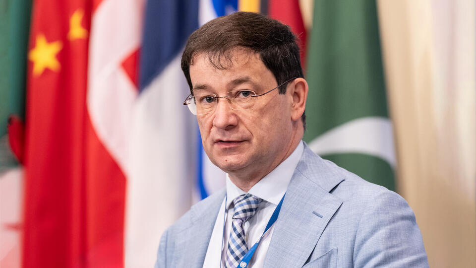     Дмитрий Полянский назначен постпредом РФ при ОБСЕ в Вене Zuma/TASS