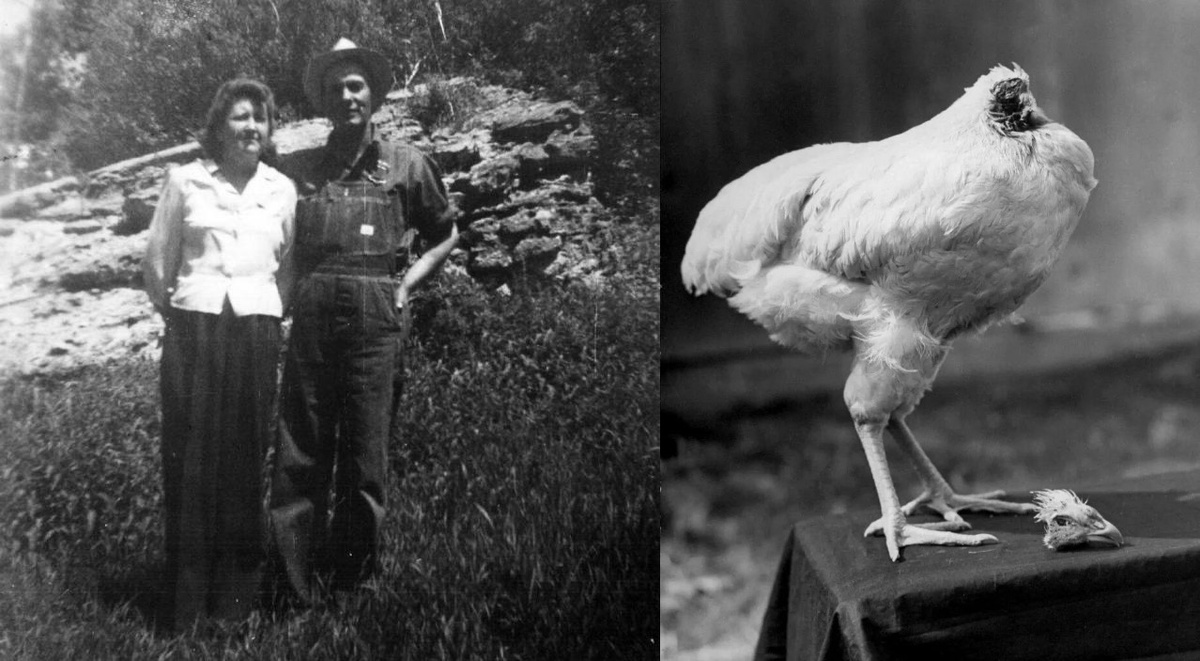 Чета Олсенов, Клара и Ллойд. Фото с сайта bbc.com